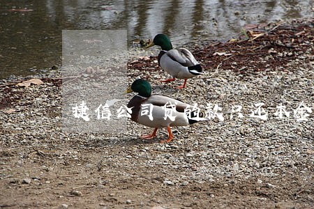 捷信公司贷的款只还本金可以吗 捷信公司贷的款只还本金可以吗