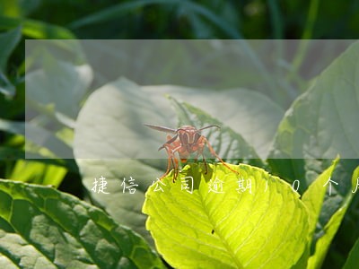 捷信公司逾期10个月 捷信公司逾期10个月