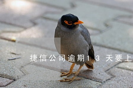 捷信公司逾期13天要上黑名单 捷信公司逾期13天要上黑名单