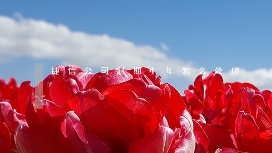 捷信公司逾期4年怎么处理 捷信公司逾期4年怎么处理