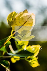捷信公司逾期5天多少利息 捷信公司逾期5天多少利息