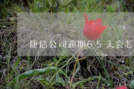 捷信公司逾期65天会怎么样 捷信公司逾期65天会怎么样