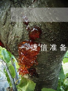 捷信准备逾期3个月了怎么办