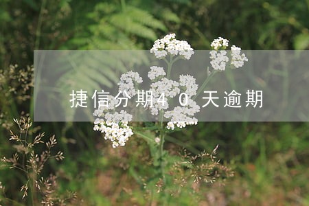 捷信分期40天逾期 捷信分期40天逾期