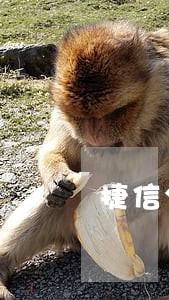 捷信分期500逾期15天 捷信分期500逾期15天