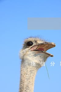 捷信分期买手机逾期买房贷款 捷信分期买手机逾期买房贷款