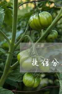 捷信分期付款逾期50天上征信吗 捷信分期付款逾期50天上征信吗