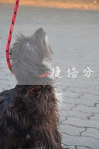 捷信分期可以只还本金吗 捷信分期可以只还本金吗