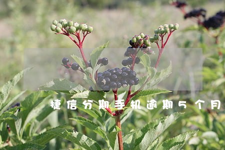 捷信分期手机逾期5个月 捷信分期手机逾期5个月
