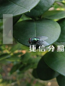 捷信分期手机逾期6年 捷信分期手机逾期6年