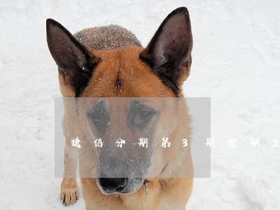捷信分期第3期逾期2天 捷信分期第3期逾期2天