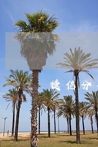 捷信分期能逾期9天吗 捷信分期能逾期9天吗