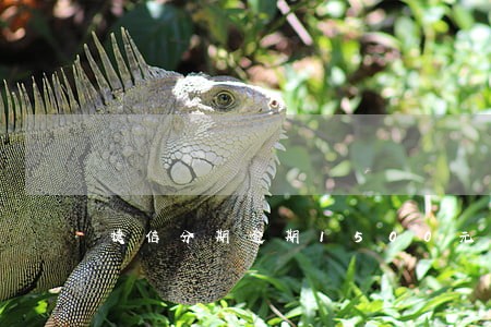 捷信分期逾期1500元会怎么样 捷信分期逾期1500元会怎么样
