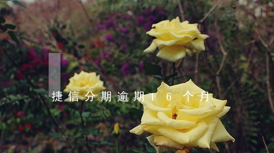 捷信分期逾期16个月 捷信分期逾期16个月