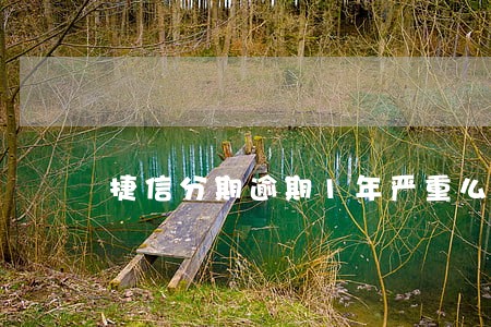 捷信分期逾期1年严重么 捷信分期逾期1年严重么