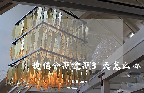捷信分期逾期3天怎么办 捷信分期逾期3天怎么办