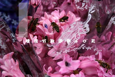 捷信分期逾期40天 捷信分期逾期40天