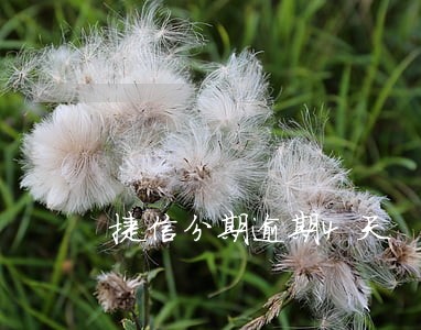 捷信分期逾期4天 捷信分期逾期4天