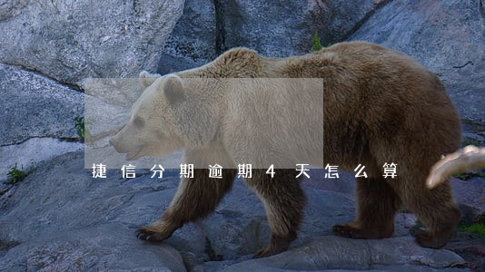 捷信分期逾期4天怎么算 捷信分期逾期4天怎么算