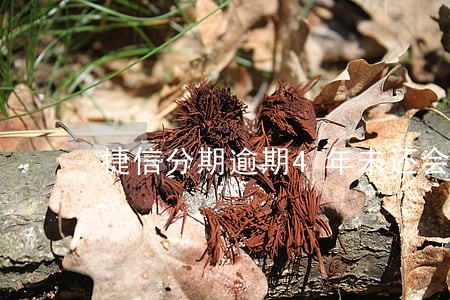 捷信分期逾期4年未还会怎样 捷信分期逾期4年未还会怎样