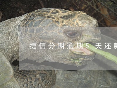 捷信分期逾期5天还款 捷信分期逾期5天还款