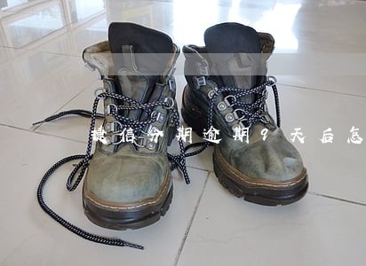 捷信分期逾期9天后怎么处理 捷信分期逾期9天后怎么处理