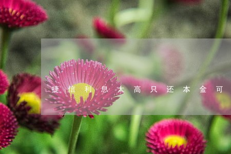 捷信利息太高只还本金可以吗