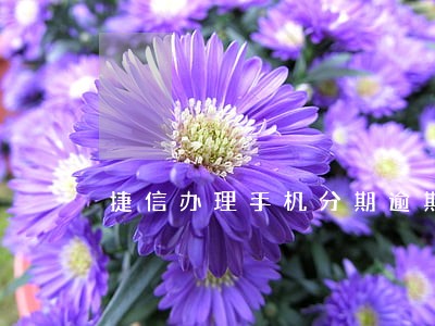 捷信办理手机分期逾期10天 捷信办理手机分期逾期10天