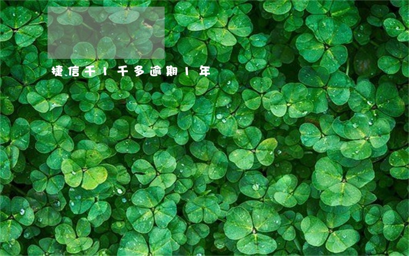 捷信千1千多逾期1年 捷信千1千多逾期1年