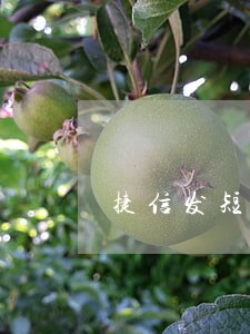 捷信发短信只还本金 捷信发短信只还本金