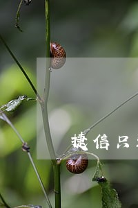 捷信只还本金不然不还 捷信只还本金不然不还