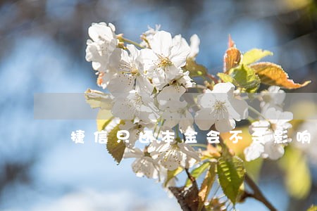 捷信只还本金会不会影响征信 捷信只还本金会不会影响征信
