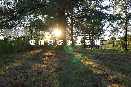 捷信只还本金教程 捷信只还本金教程