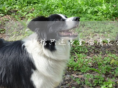 捷信只还本金结清怎么做 捷信只还本金结清怎么做