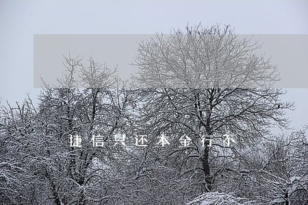 捷信只还本金行不 捷信只还本金行不