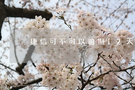 捷信可不可以逾期12天 捷信可不可以逾期12天