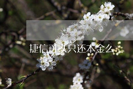 捷信可以只还本金么 捷信可以只还本金么