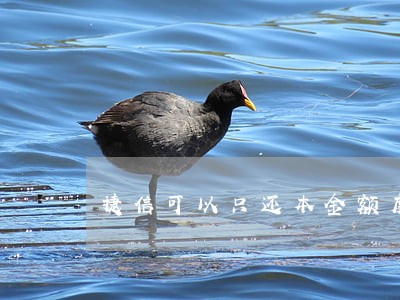捷信可以只还本金额度吗 捷信可以只还本金额度吗