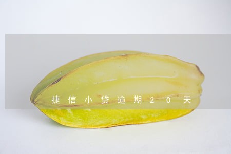 捷信小贷逾期20天 捷信小贷逾期20天