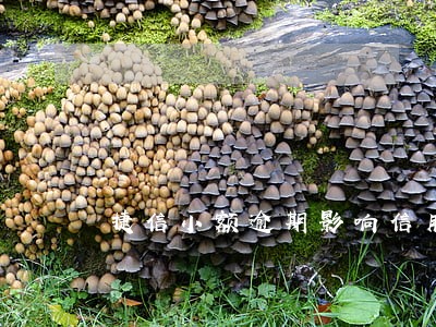 捷信小额逾期影响信用不 捷信小额逾期影响信用不