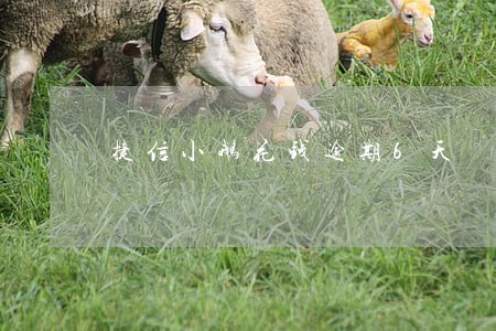 捷信小鹅花钱逾期6天 捷信小鹅花钱逾期6天