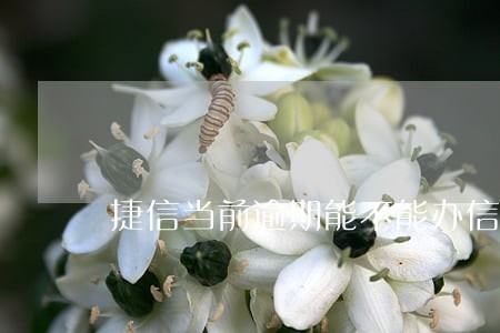捷信当前逾期能不能办信用卡 捷信当前逾期能不能办信用卡