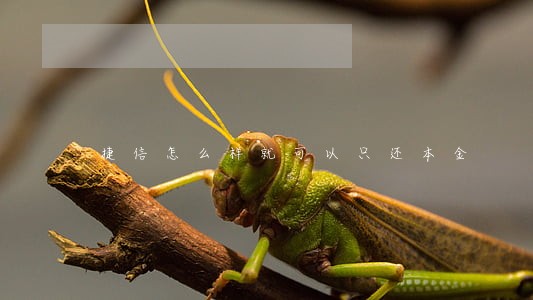 捷信怎么样就可以只还本金 捷信怎么样就可以只还本金