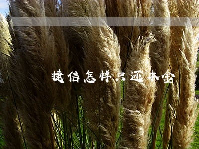 捷信怎样只还本金 捷信怎样只还本金