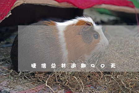 捷信总共逾期90天