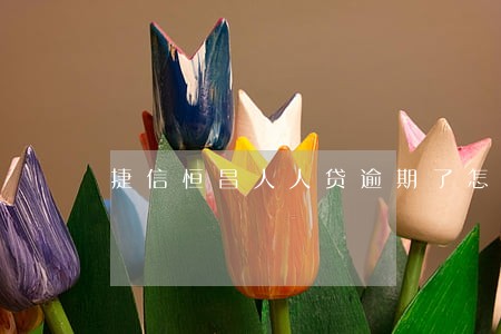捷信恒昌人人贷逾期了怎么处理 捷信恒昌人人贷逾期了怎么处理