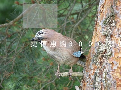 捷信惠购3000额度逾期 捷信惠购3000额度逾期