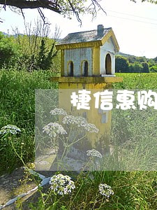 捷信惠购逾期100元 捷信惠购逾期100元