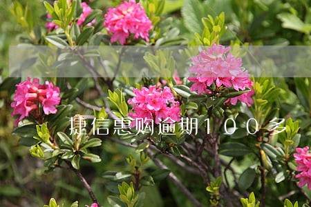 捷信惠购逾期100多 捷信惠购逾期100多