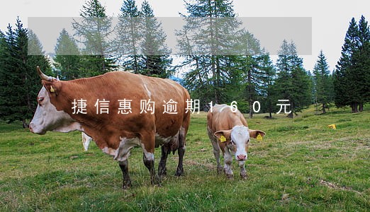 捷信惠购逾期160元 捷信惠购逾期160元